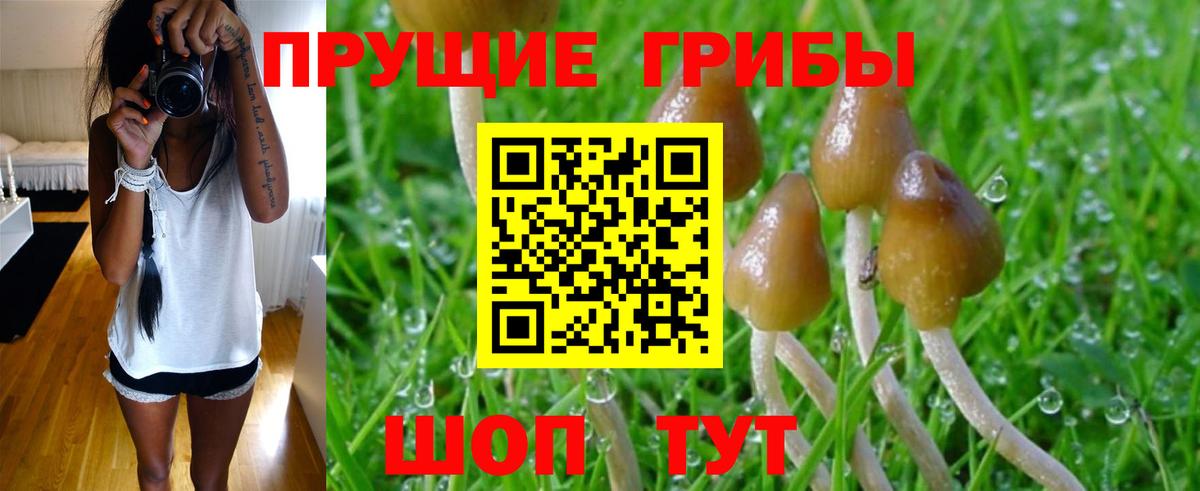 Псилоцибиновые грибы MAGIC MUSHROOMS Прокопьевск