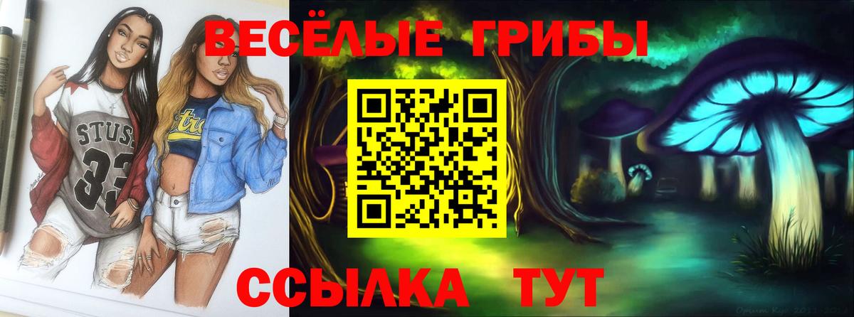 Прокопьевск  Галлюциногенные грибы мухоморы  Вход с VPN 